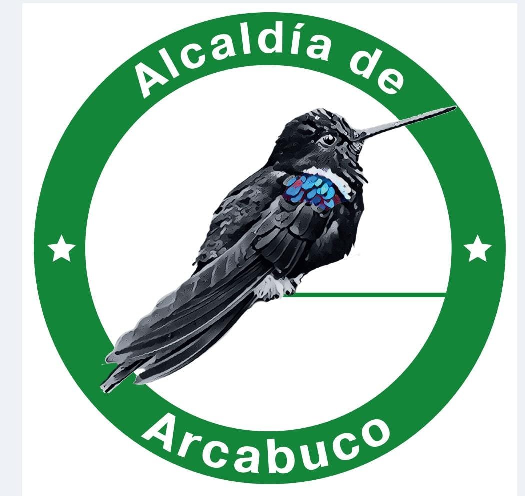Cliente 3